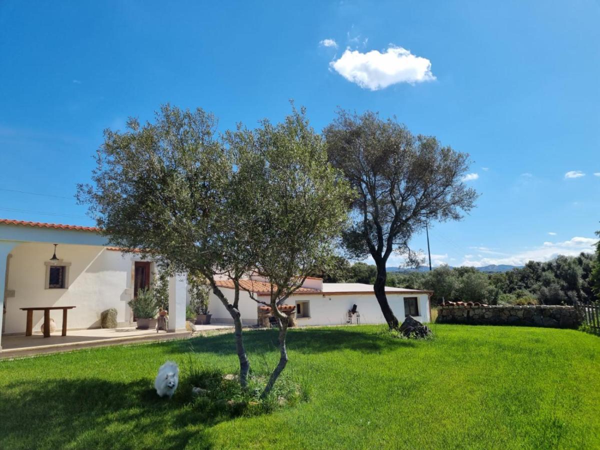 Lu Antu Alloggi Agrituristici Arzachena Luaran gambar