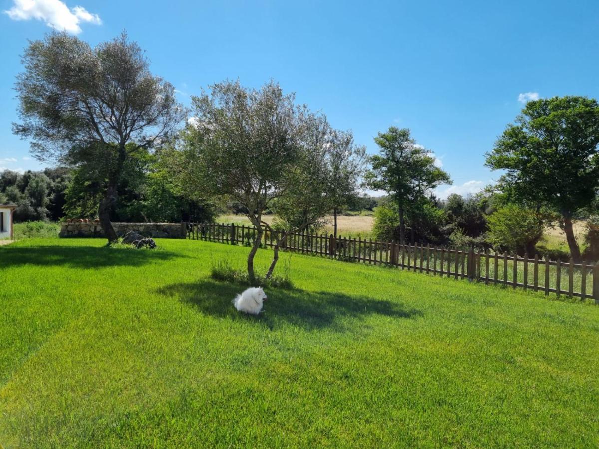 Lu Antu Alloggi Agrituristici Arzachena Luaran gambar
