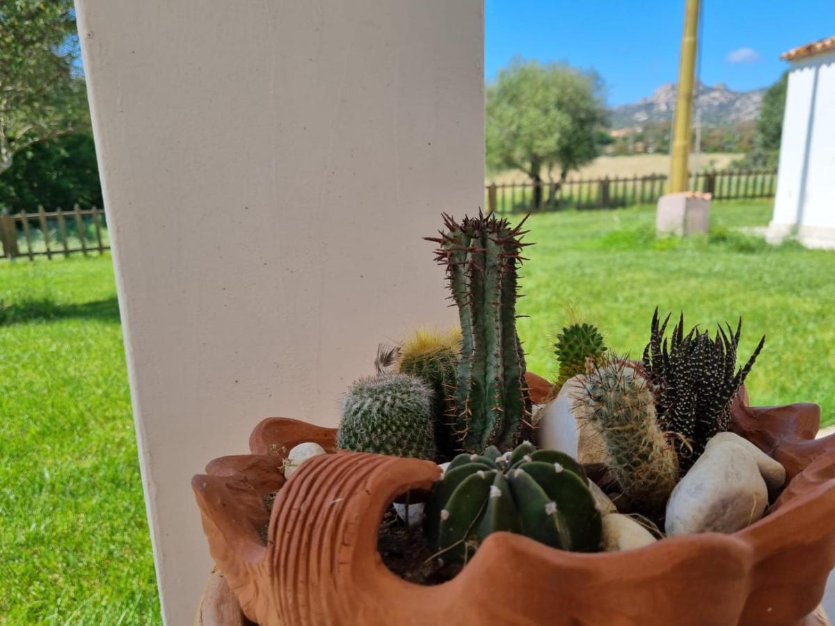 Lu Antu Alloggi Agrituristici Arzachena Luaran gambar