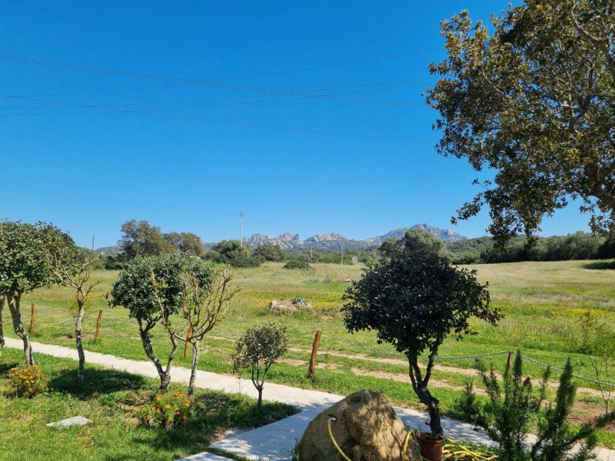 Lu Antu Alloggi Agrituristici Arzachena Luaran gambar