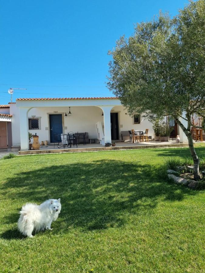 Lu Antu Alloggi Agrituristici Arzachena Luaran gambar